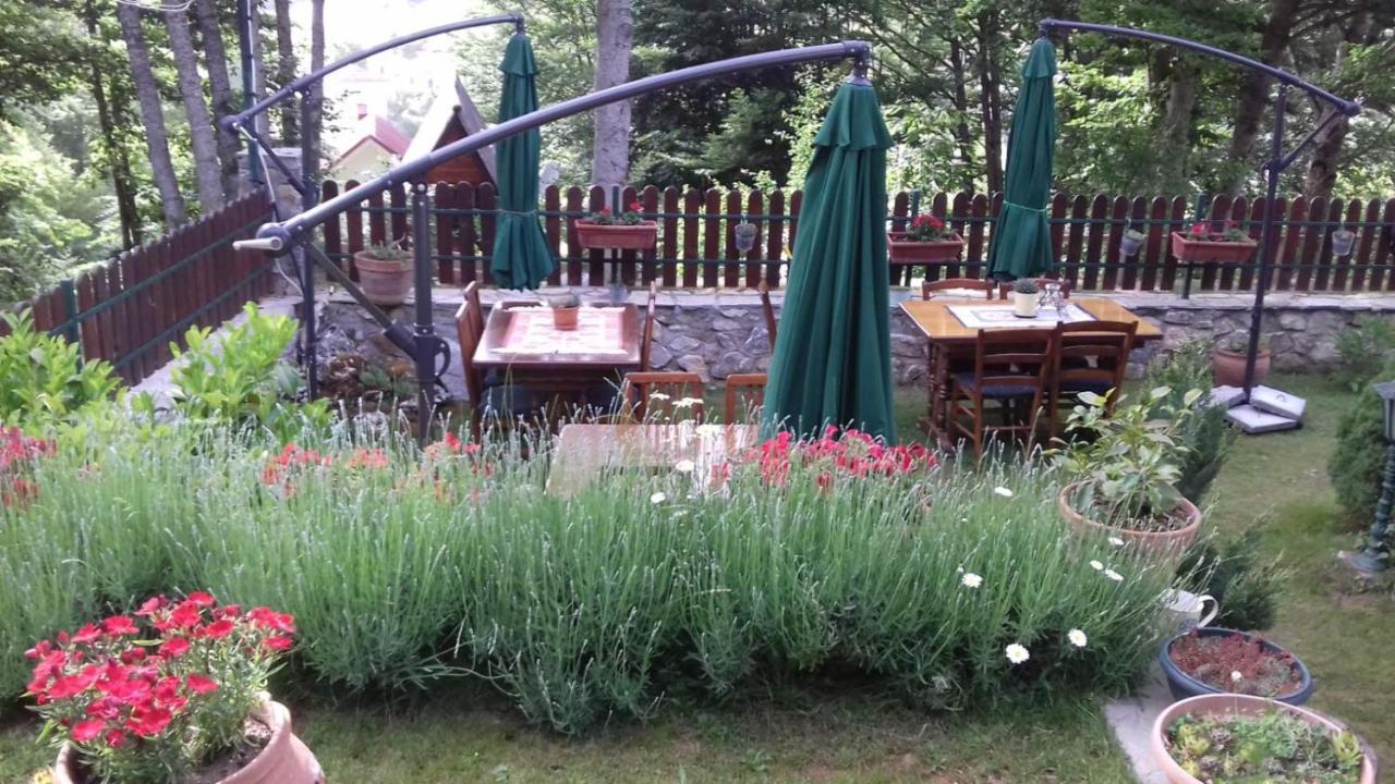 Restaurant And Apartments - T'Ga Za Jug Lazaropole Exterior foto